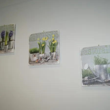 City Room Apartment *